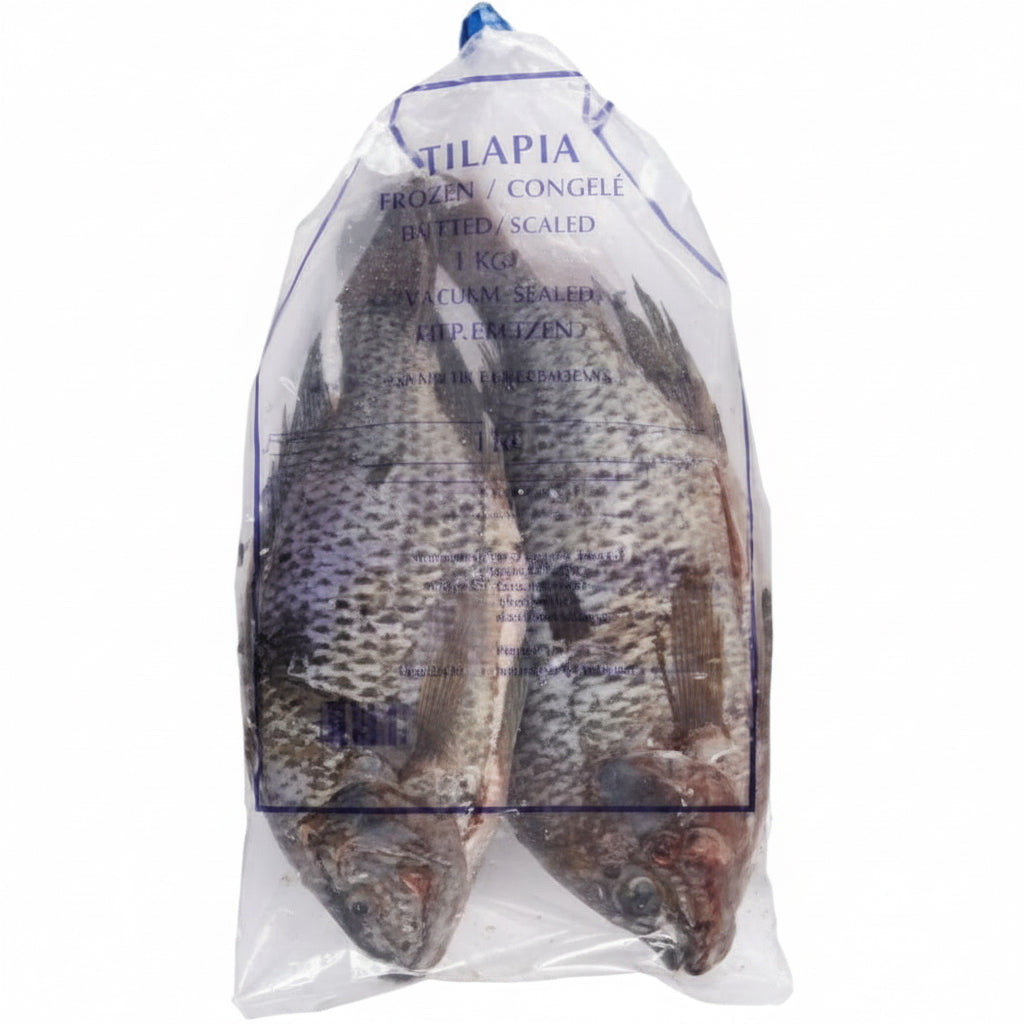 Frozen Tilapia