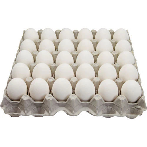 Large Eggs